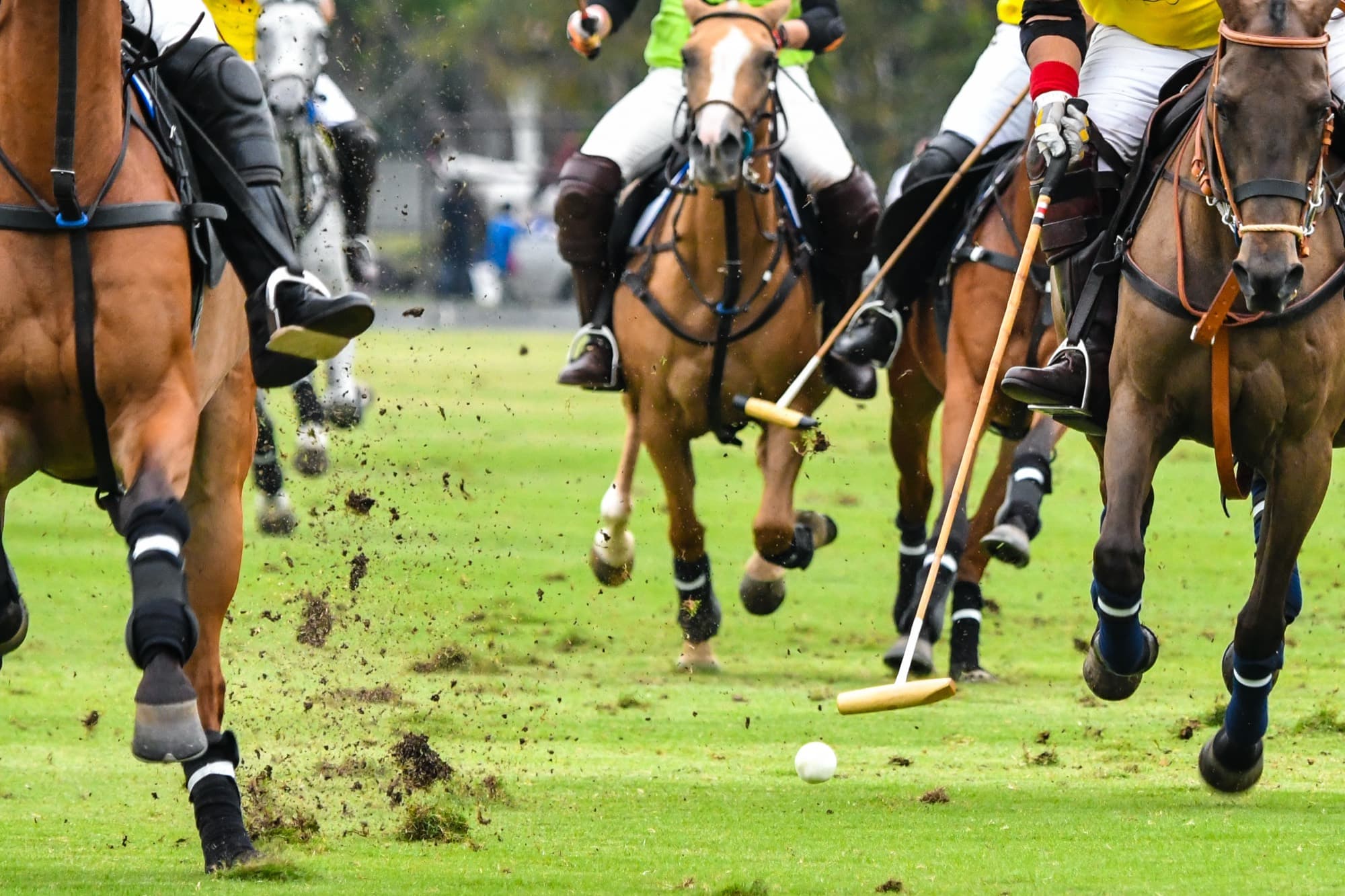 Polo ponies mid-game, mallets swinging for the ball